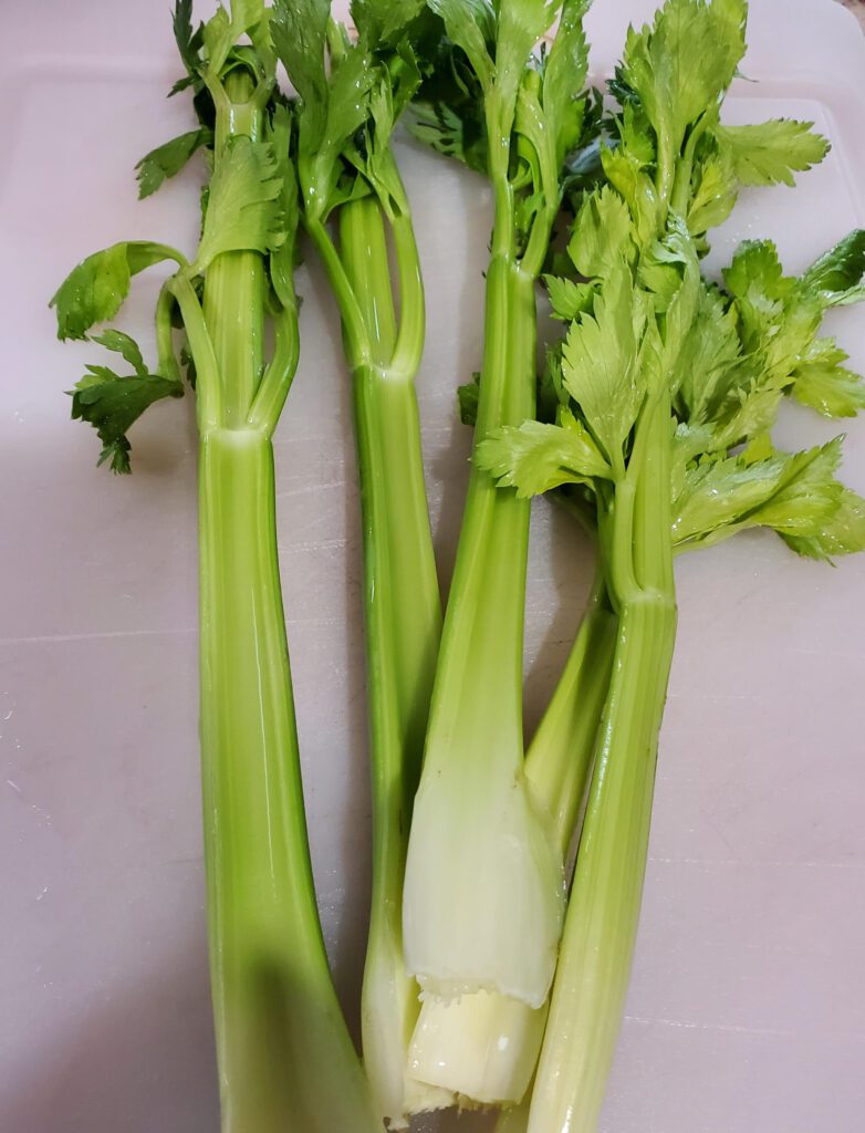 Celery is 95% water.