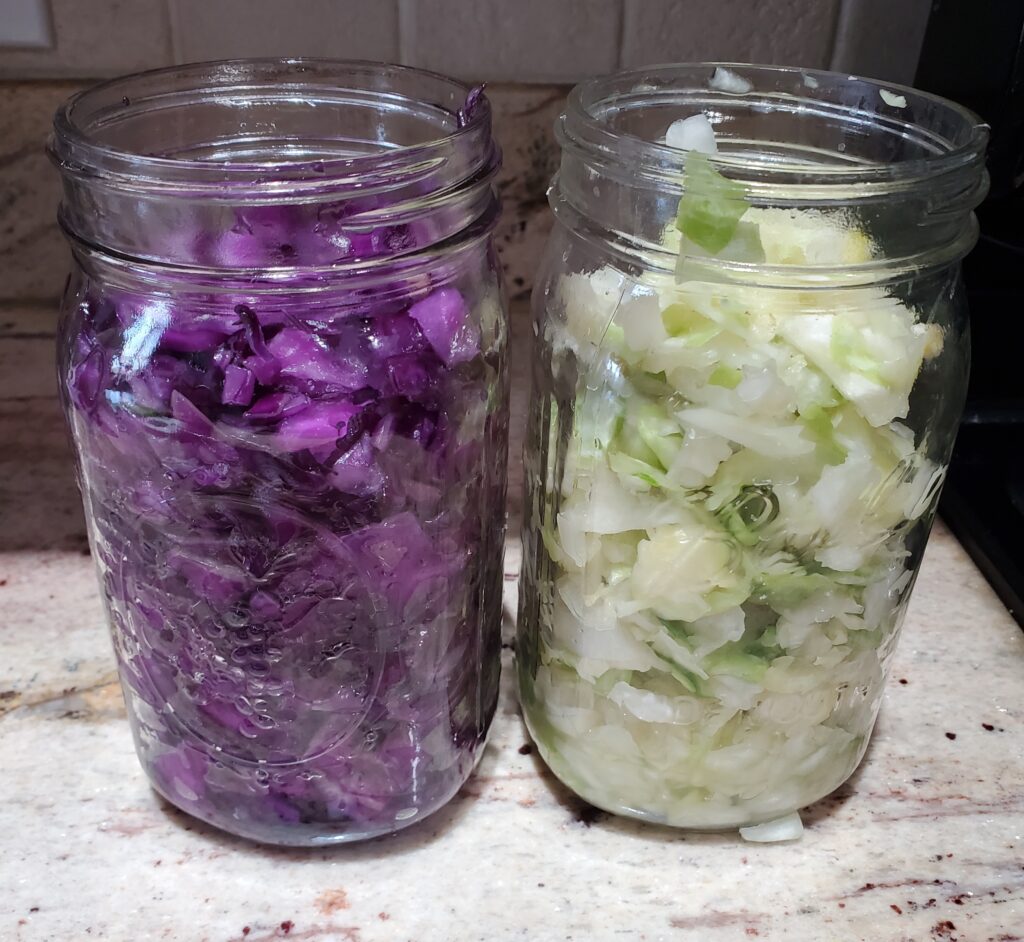 cabbage in quart size canning jars