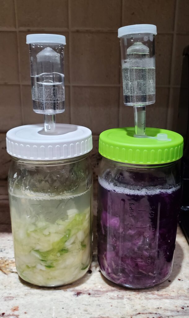 jars with fermenting lids