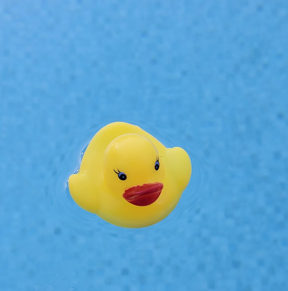 Rubber ducky in a pool
