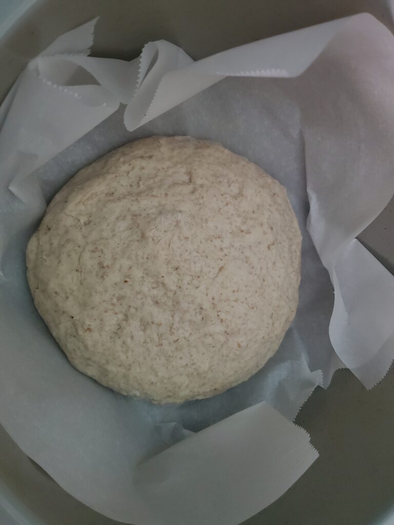 Pita dough before rising