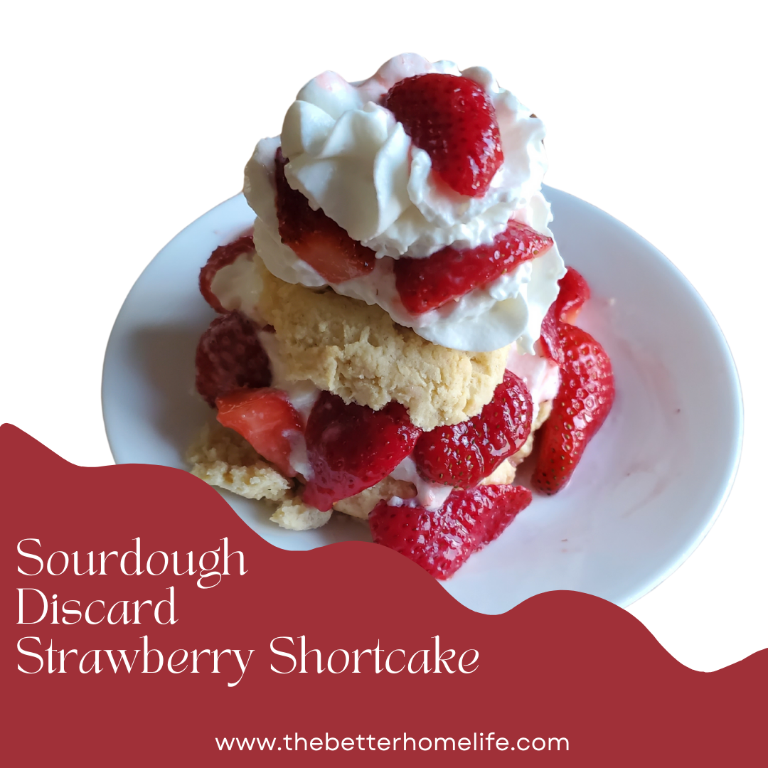 sourdough discard strawberry shortcake
