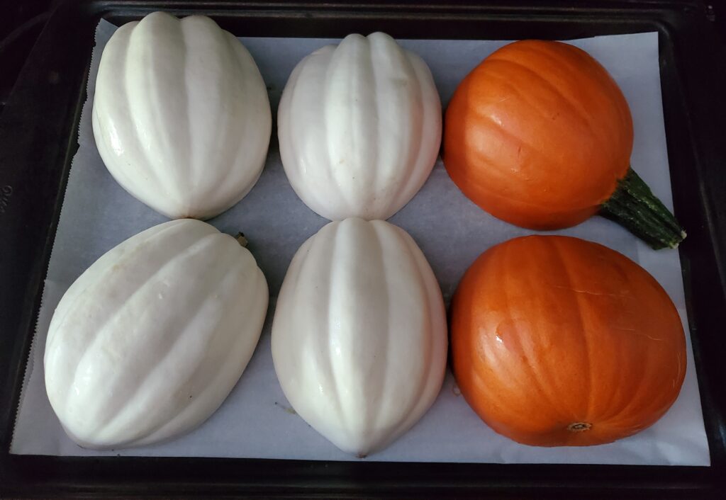 Pie pumpkin on a sheet pan with white acorn squash