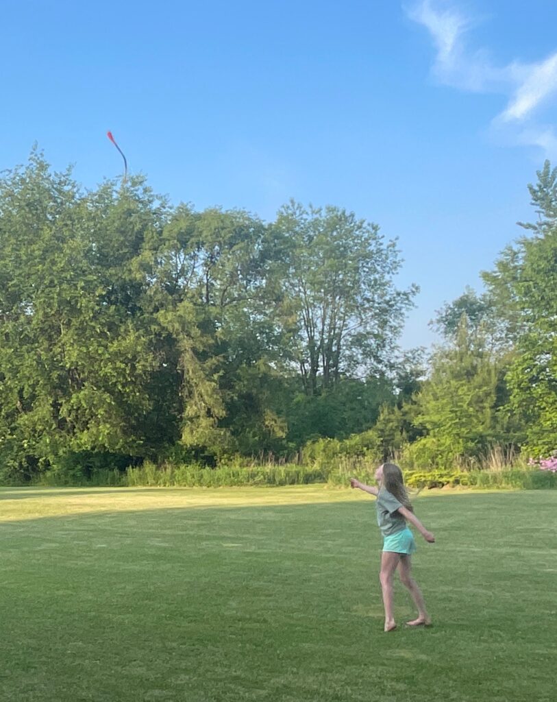 Tossing a foxtail
