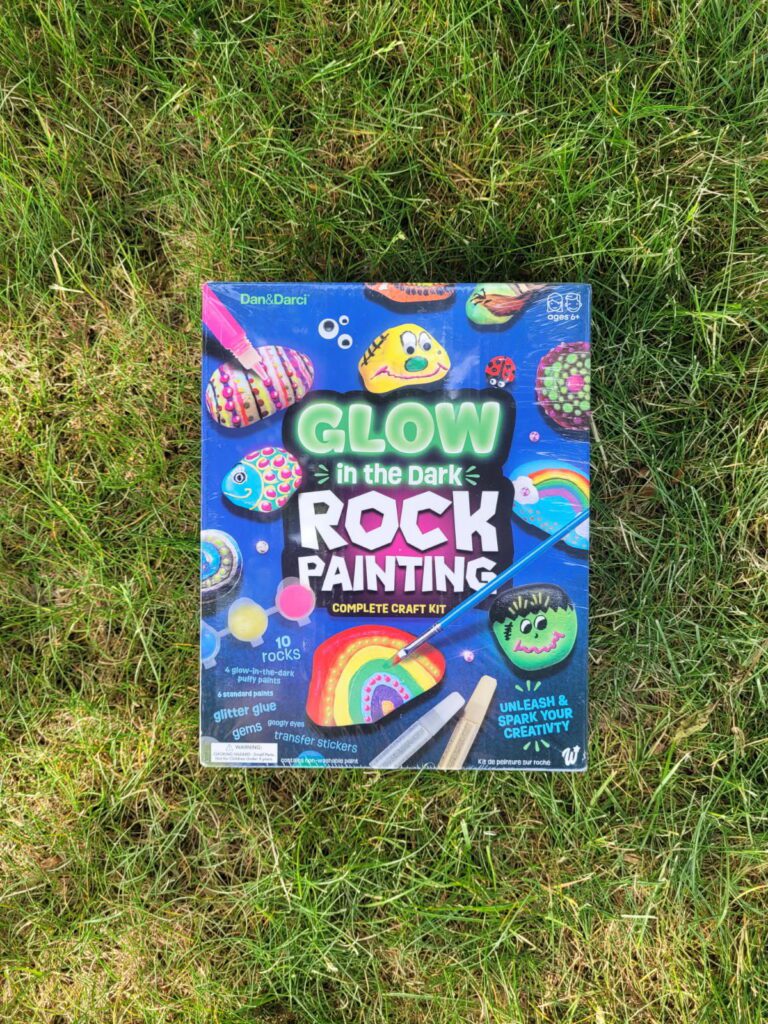 rock painting kit