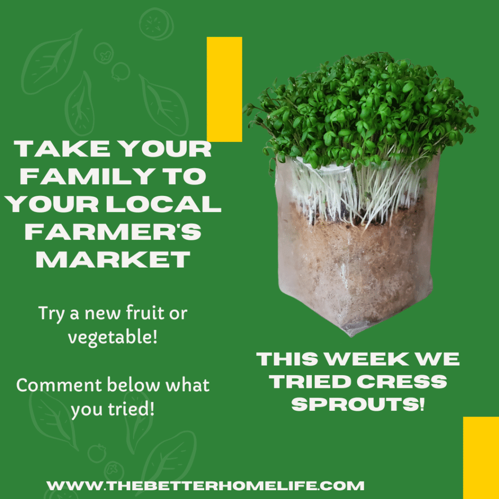 Farmer's market